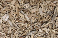 biomass boilers Arncroach
